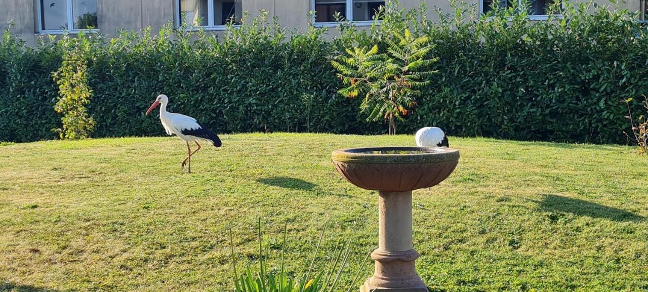 Maison D'Hotes Sainte Hune Appartements Унавиер Екстериор снимка